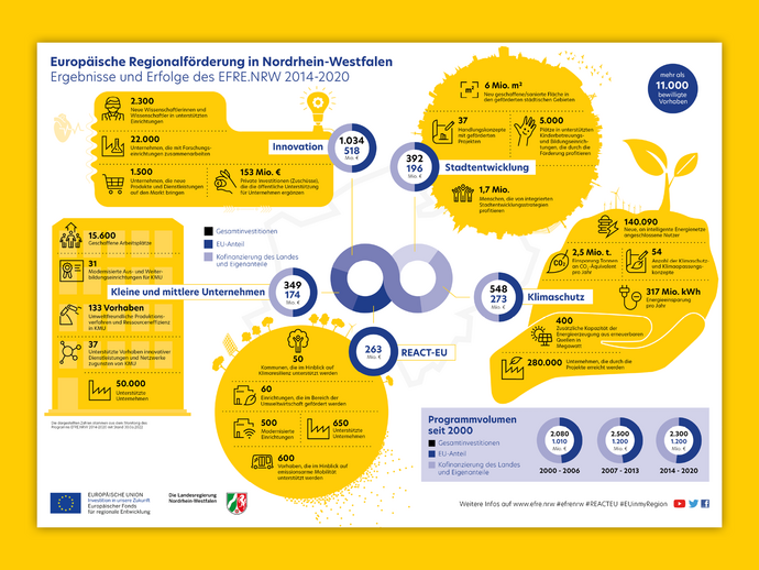 Gestaltung Infografik Ergebnisse Förderperiode
