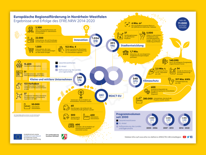 Gestaltung Infografik Ergebnisse Förderperiode