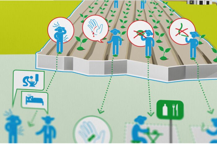 Plakat zeigt ein Feld mit Hinweisen zur Hygienevorschriften von Feldarbeitern z.B: Nicht mit offenen Wunden auf dem Feld arbeiten